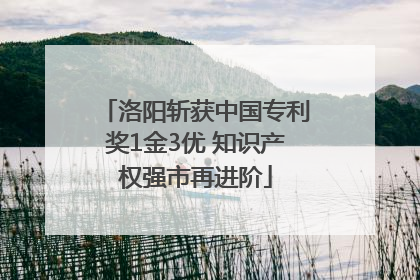洛阳斩获中国专利奖1金3优 知识产权强市再进阶