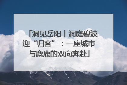洞见岳阳丨洞庭碧波迎“归客”：一座城市与麋鹿的双向奔赴