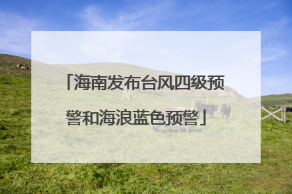 海南发布台风四级预警和海浪蓝色预警