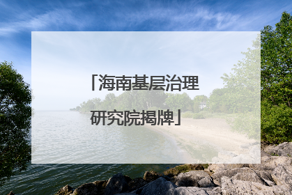 海南基层治理研究院揭牌