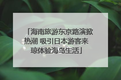 海南旅游东京路演掀热潮 吸引日本游客来琼体验海岛生活