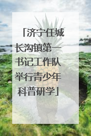 济宁任城长沟镇第一书记工作队举行青少年科普研学