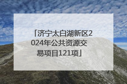 济宁太白湖新区2024年公共资源交易项目121项