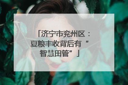 济宁市兖州区：夏粮丰收背后有“智慧田管”