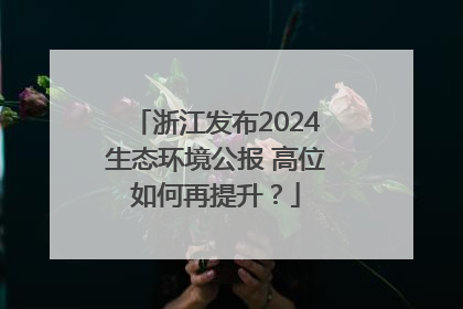 浙江发布2024生态环境公报 高位如何再提升？
