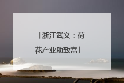 浙江武义：荷花产业助致富