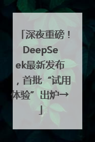 深夜重磅！DeepSeek最新发布，首批“试用体验”出炉→