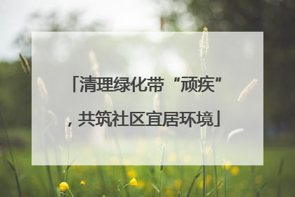 清理绿化带“顽疾”，共筑社区宜居环境