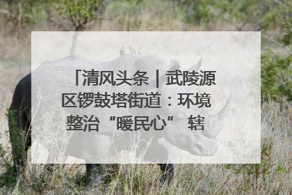 清风头条｜武陵源区锣鼓塔街道：环境整治“暖民心” 辖区面貌“靓”起来
