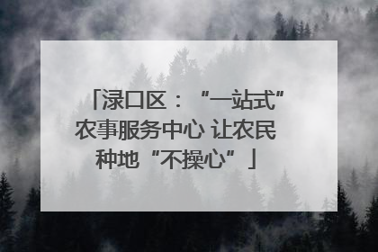 渌口区：“一站式”农事服务中心 让农民种地“不操心”