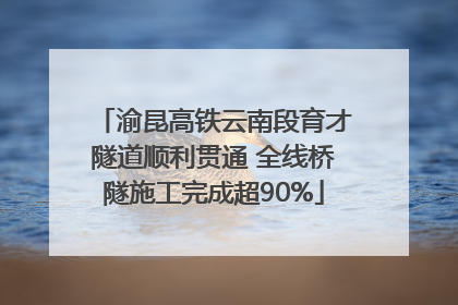 渝昆高铁云南段育才隧道顺利贯通 全线桥隧施工完成超90%