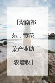 湖南祁东：黄花菜产业助农增收