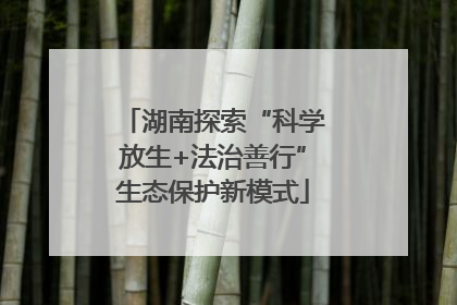 湖南探索“科学放生+法治善行”生态保护新模式