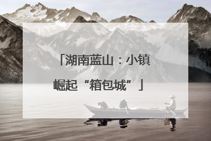 湖南蓝山：小镇崛起“箱包城”