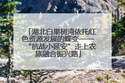 湖北白果树湾依托红色资源发展的蝶变——“抗战小延安”走上农旅融合振兴路