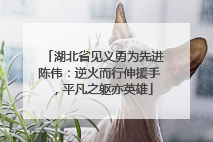 湖北省见义勇为先进陈伟：逆火而行伸援手，平凡之躯亦英雄