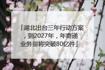 湖北出台三年行动方案，到2027年，年寄递业务量将突破80亿件