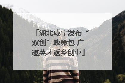 湖北咸宁发布“双创”政策包 广邀英才返乡创业