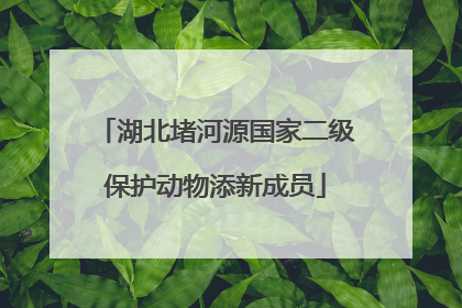 湖北堵河源国家二级保护动物添新成员