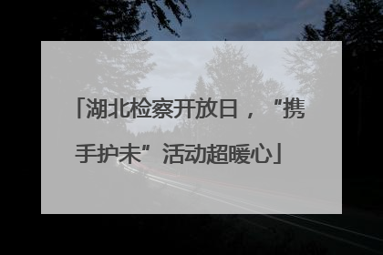 湖北检察开放日，“携手护未”活动超暖心