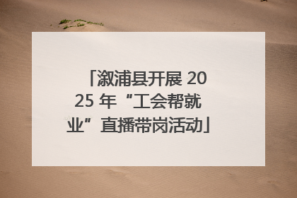 溆浦县开展 2025 年“工会帮就业”直播带岗活动