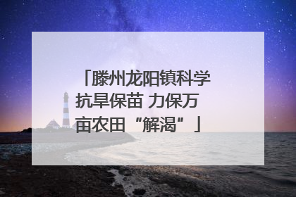 滕州龙阳镇科学抗旱保苗 力保万亩农田“解渴”