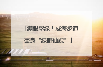 满眼翠绿！威海步道变身“绿野仙踪”