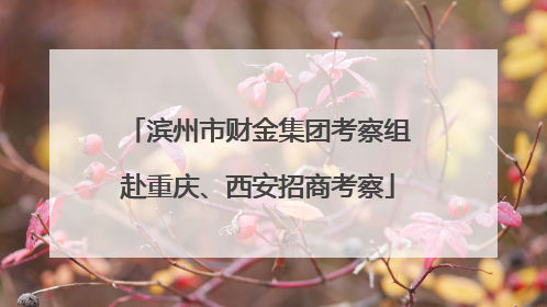 滨州市财金集团考察组赴重庆、西安招商考察