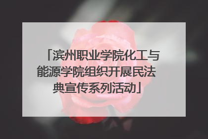 滨州职业学院化工与能源学院组织开展民法典宣传系列活动