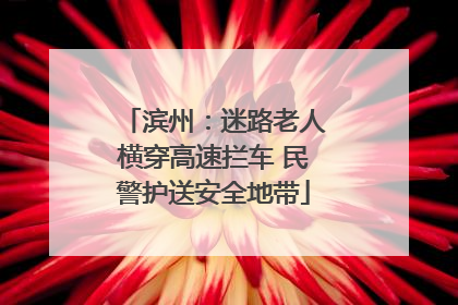滨州：迷路老人横穿高速拦车 民警护送安全地带