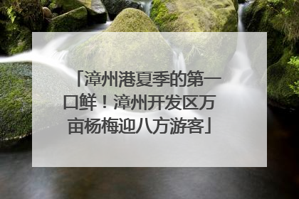 漳州港夏季的第一口鲜！漳州开发区万亩杨梅迎八方游客