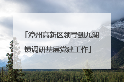 漳州高新区领导到九湖镇调研基层党建工作