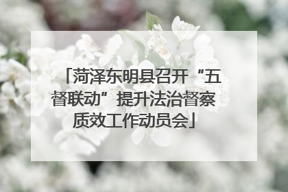 菏泽东明县召开“五督联动”提升法治督察质效工作动员会