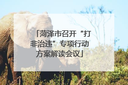 菏泽市召开“打非治违”专项行动方案解读会议