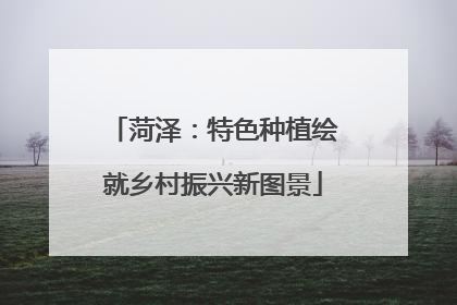 菏泽：特色种植绘就乡村振兴新图景