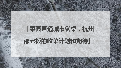 菜园直通城市餐桌，杭州邵老板的收菜计划和期待