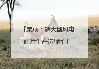 荣成：超大型风电叶片生产运输忙