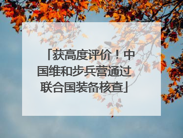 获高度评价！中国维和步兵营通过联合国装备核查