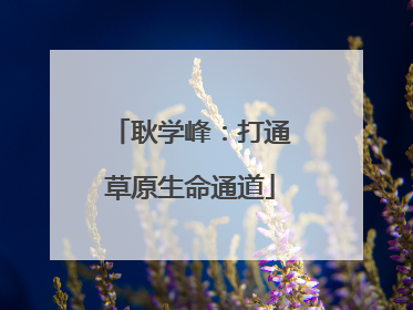 耿学峰：打通草原生命通道
