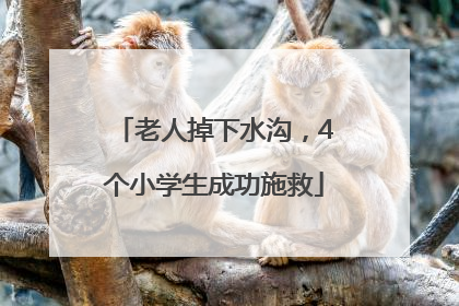 老人掉下水沟，4个小学生成功施救