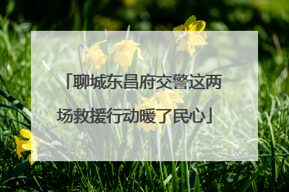 聊城东昌府交警这两场救援行动暖了民心