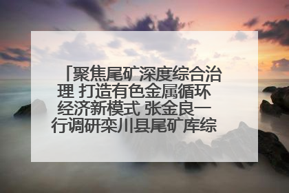 聚焦尾矿深度综合治理 打造有色金属循环经济新模式 张金良一行调研栾川县尾矿库综合治理工作