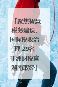 聚焦智慧税务建设、国际税收治理 29名非洲财税官湖南取经