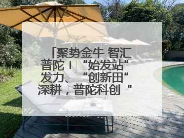 聚势金牛 智汇普陀〡“始发站”发力、“创新田”深耕，普陀科创“金牛”闪耀