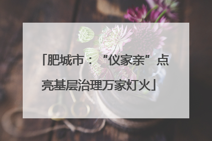 肥城市：“仪家亲”点亮基层治理万家灯火
