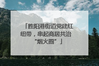 胜阳港街道党建红纽带，串起商居共治 “烟火圈”