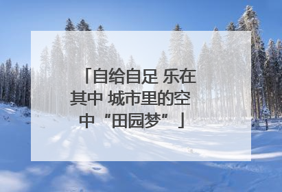 自给自足 乐在其中 城市里的空中“田园梦”