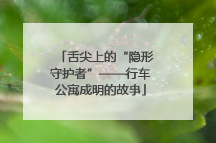 舌尖上的“隐形守护者”——行车公寓成明的故事