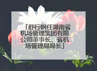 舒行钢任湖南省机场管理集团有限公司董事长、省机场管理局局长