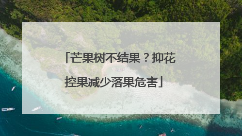 芒果树不结果？抑花控果减少落果危害